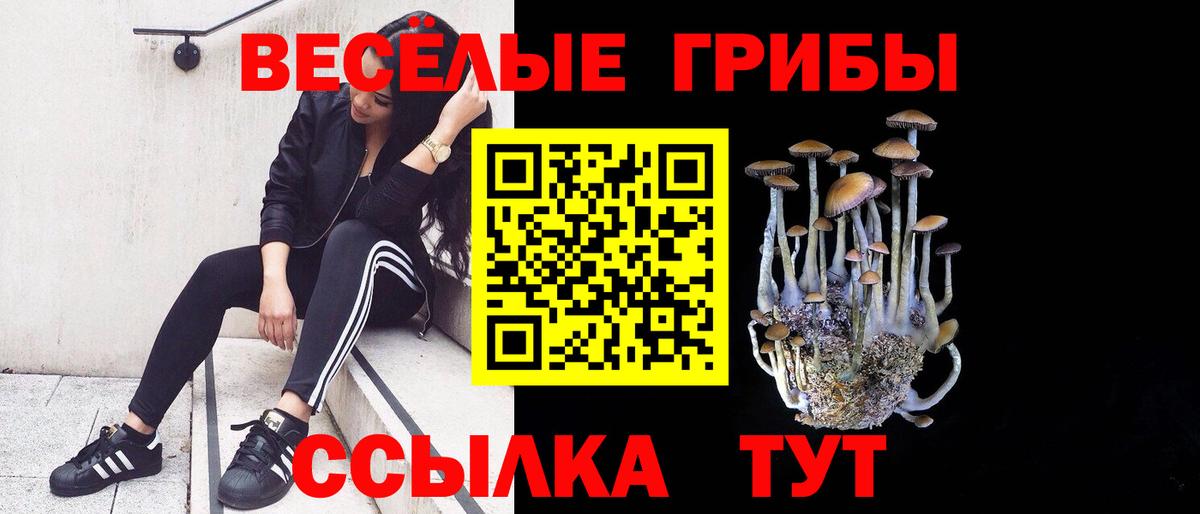 Галлюциногенные грибы прущие грибы Истра