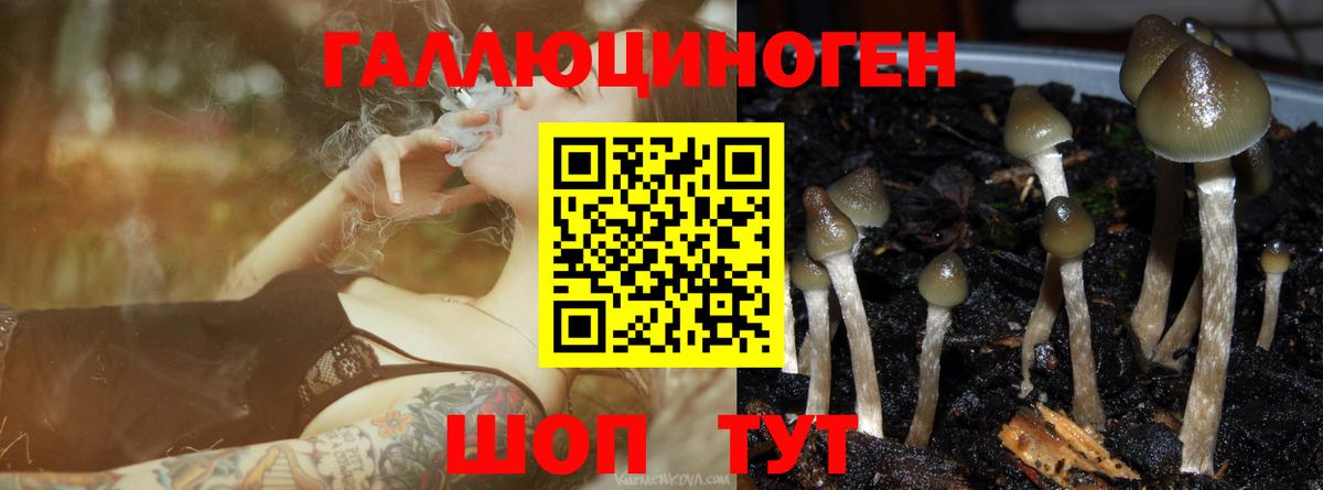 Истра  Галлюциногенные грибы мухоморы  даркнет сайт  Вход с VPN 